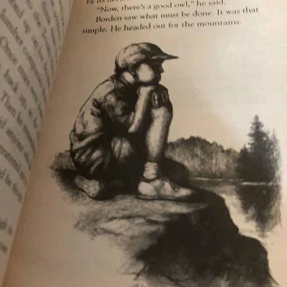 Book - Picture 2 of 2